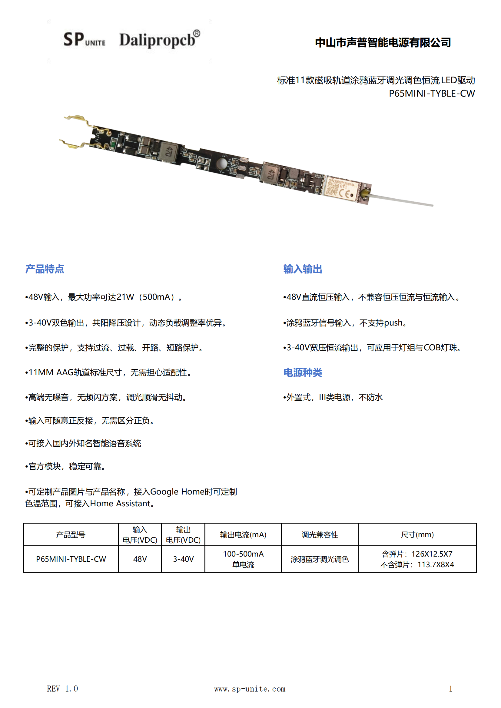 11款涂鸦蓝牙调光调色P65MINI-TYBLE-CW规格书模板-中文_00.png